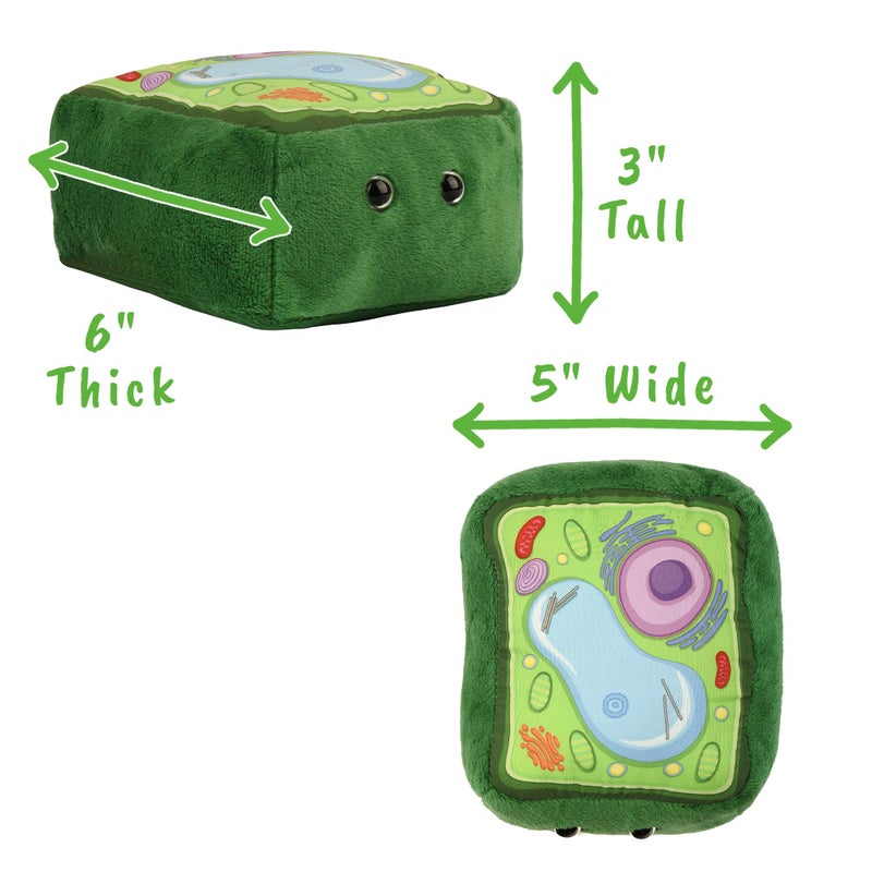 GIANT MICROBES Plant Cell Plush, Plant Cell Model, Anatomy Model, Plant Plush Toy, Cell Biology, Physiology, Biology Classroom Decor, Plant Anatomy - Image 2